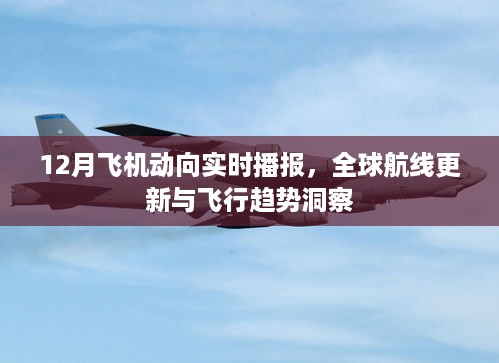 全球航线更新与飞行趋势洞察，12月飞机动向实时播报