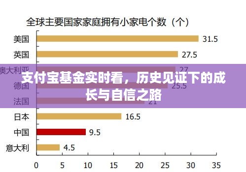 2024年12月17日 第23页