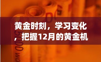 2024年12月17日 第20页