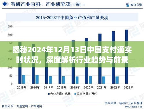 深度解析，中国支付通实时状况与行业趋势展望（2024年12月13日）