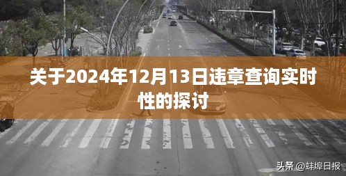 关于违章查询实时性的探讨，2024年12月13日的观察与讨论