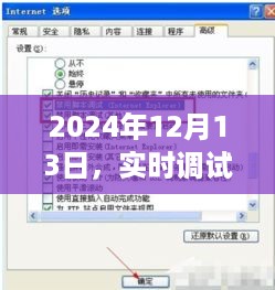 实时调试器界面开启新时代的序幕，2024年12月13日