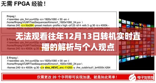 2024年12月17日 第13页