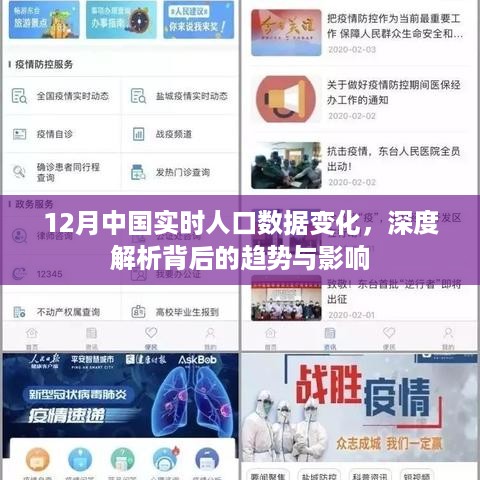 12月实时人口数据变化揭示趋势与影响深度解析