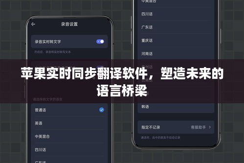 苹果实时同步翻译软件，塑造未来的语言沟通桥梁