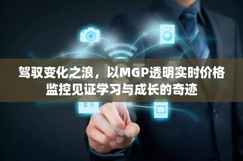 驾驭变化之浪，MGP透明实时价格监控见证成长奇迹之路