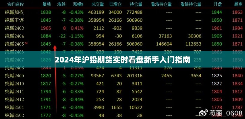 新手入门指南，如何实时看盘2024年沪铅期货