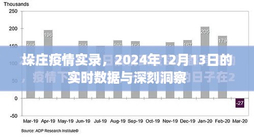 垛庄疫情实录，实时数据与深度洞察（2024年12月13日）