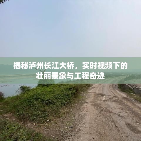 泸州长江大桥，实时视角下的壮丽景象与工程奇观揭秘