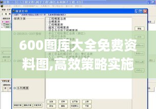 600图库大全免费资料图,高效策略实施_pro9.395