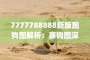 7777788888新版跑狗图解析：赛狗图深度解读