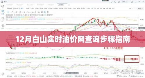 12月白山实时油价查询指南，步骤详解