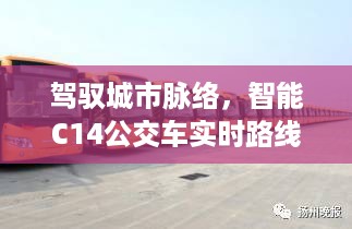 智能C14公交车实时路线系统，驾驭城市脉络，开启未来出行新纪元