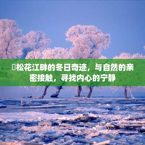 松花江畔冬日的奇迹之旅，与自然交融，探寻内心宁静