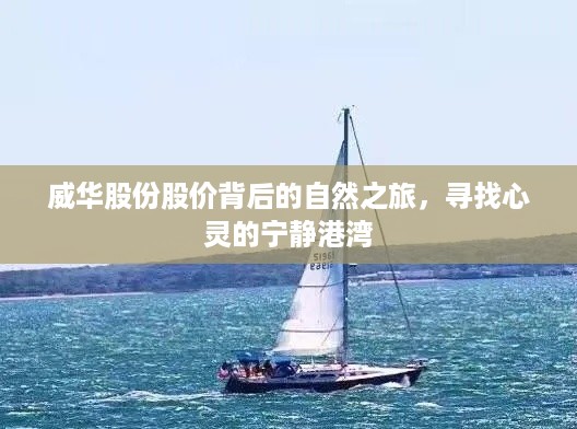 威华股份股价背后的自然之旅，探寻心灵港湾