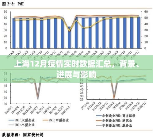 上海12月疫情实时数据汇总，背景、进展及影响全解析