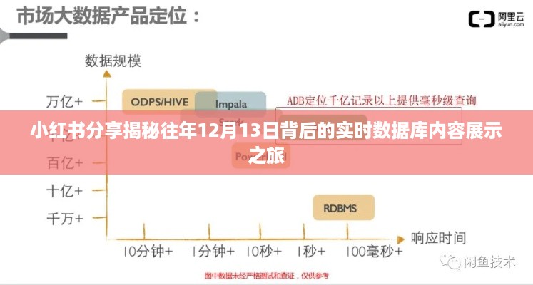 小红书分享，揭秘往年12月13日背后的实时数据库内容展示之旅探秘