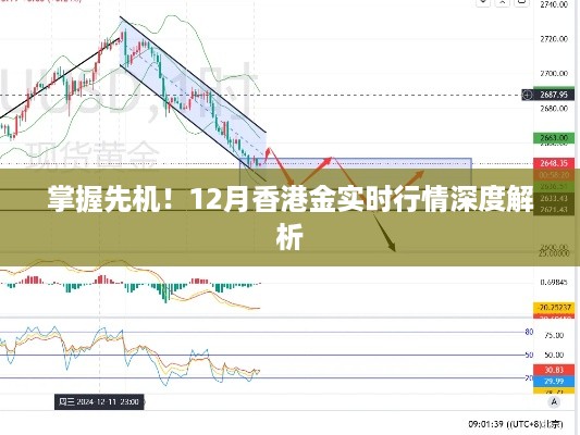 掌握先机！深度解析香港金实时行情（12月版）