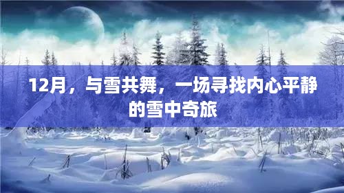 雪舞心灵，寻找内心平静的雪中奇旅