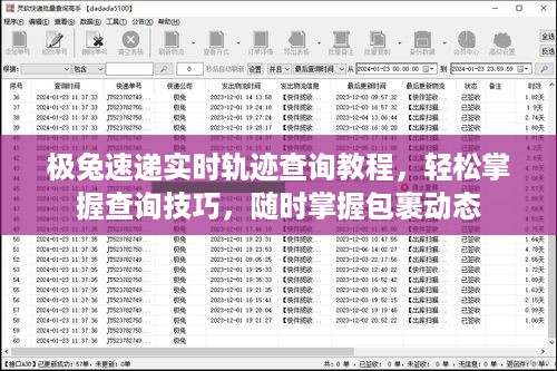 极兔速递实时轨迹查询教程，轻松掌握查询技巧，随时追踪包裹动态