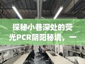 探秘隐藏式PCR检测实验室，荧光PCR阴阳秘境的奇妙之旅