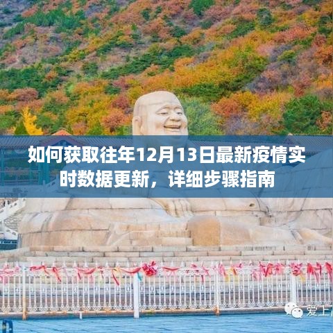 详细步骤指南，获取往年12月13日最新疫情实时数据更新