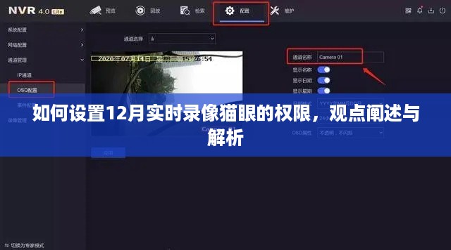 12月实时录像猫眼权限设置详解，观点阐述与解析