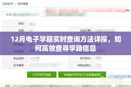 12月电子学籍实时查询详解，高效查寻学籍信息方法