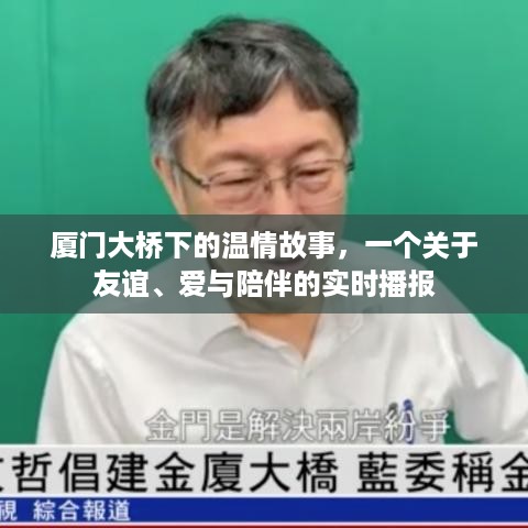 厦门大桥下的温情时刻，友谊、爱与陪伴的实时见证