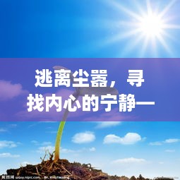 龙口空气质量与心灵之旅，逃离尘嚣，追寻内心宁静之旅