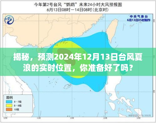 揭秘，台风夏浪2024年12月13日实时位置预测与应对准备指南