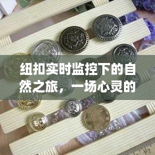 纽扣监控下的自然之旅，心灵洗涤的旅程