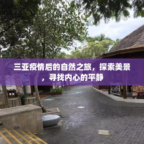 三亚疫情后的自然探索之旅，心灵与美景的交融之旅