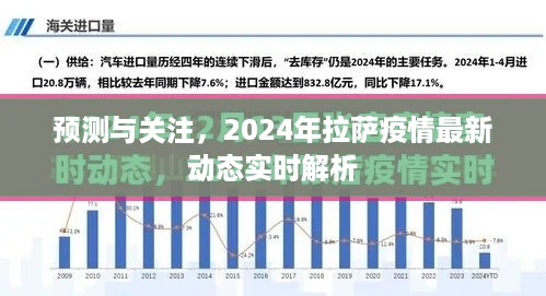 2024年拉萨疫情最新动态实时解析与预测关注