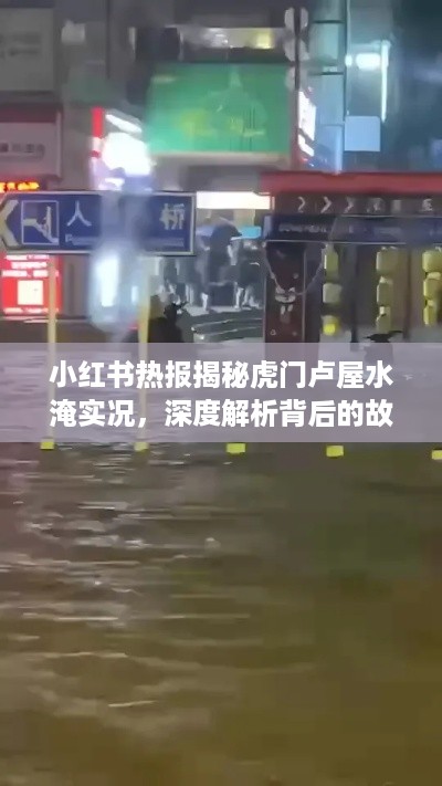 小红书热报揭秘，虎门卢屋水淹背后的真相与深度解析！