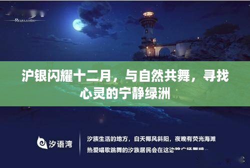 沪银十二月闪耀之旅，与自然共舞，探寻心灵绿洲