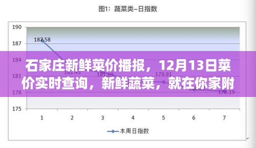 石家庄新鲜菜价播报，12月13日实时查询附近蔬菜价格