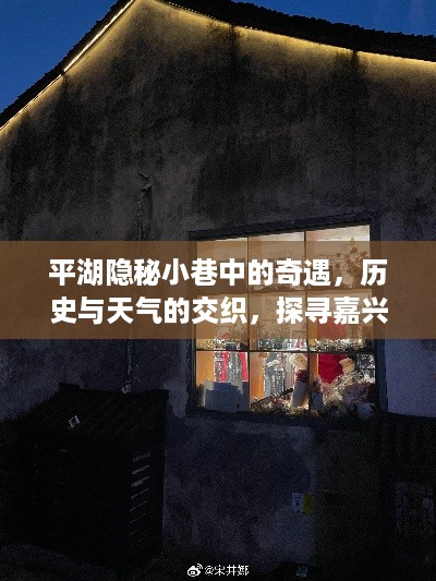 平湖隐秘小巷的奇遇，历史交织下的嘉兴特色小店独特魅力探寻