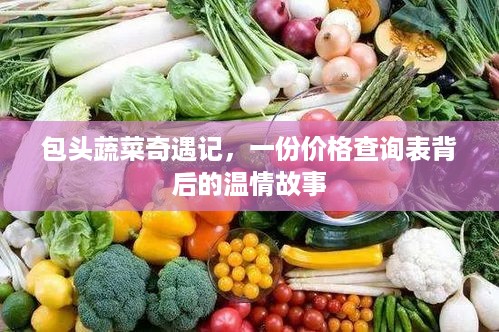 包头蔬菜奇遇记，价格查询表背后的温情故事