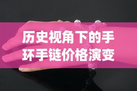 历史视角下的手环手链价格演变，观察日期为12月13日的分析报告