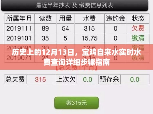 宝鸡自来水实时水费查询指南，详细步骤回顾历史上的12月13日
