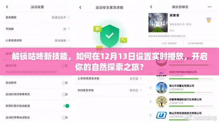 解锁咕咚新功能，实时播放设置，开启自然探索之旅的秘诀（12月13日指南）