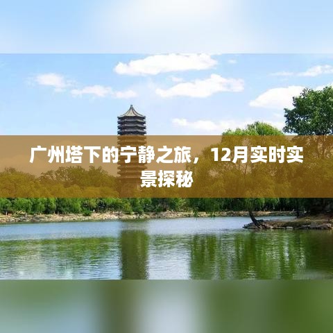 广州塔下的宁静探秘，12月实时实景体验