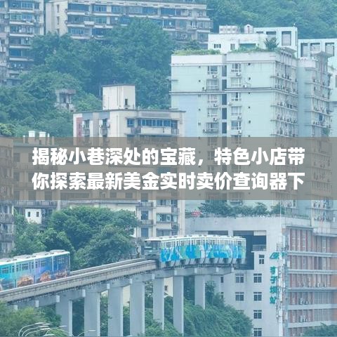 探索小巷宝藏，特色小店引领最新美金实时卖价查询器下载之旅