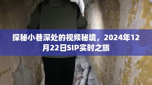 探秘小巷深处的视频秘境，SIP实时之旅的独家发现，2024年12月22日纪实之旅