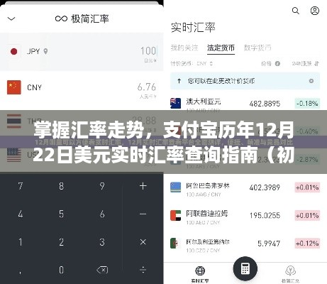 掌握汇率走势，支付宝历年12月22日美元实时汇率查询指南（全用户适用）