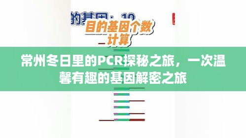 常州冬日PCR探秘之旅，基因解密的温馨趣味之旅