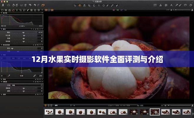 12月水果实时摄影软件全面解析与介绍