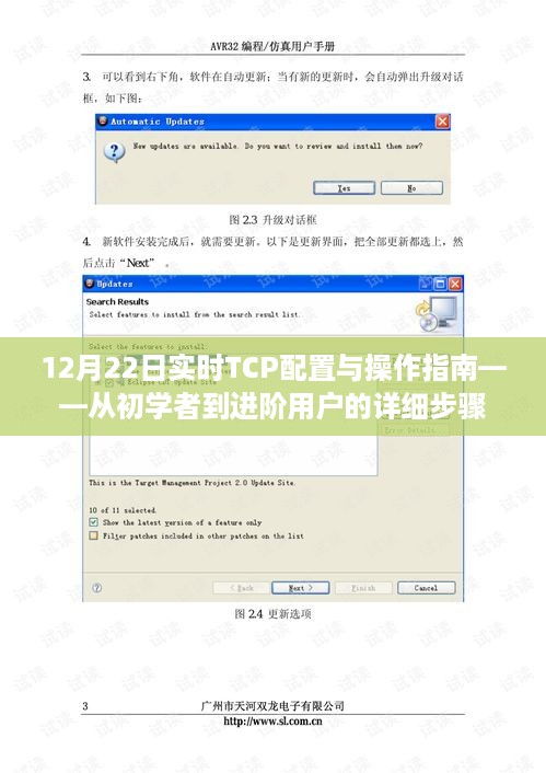 TCP配置与操作指南，从入门到进阶的实时指南（12月22日版）