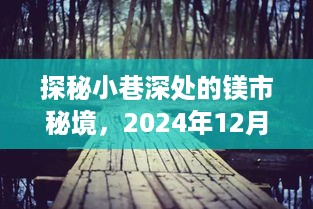 探秘镁市秘境，小巷深处的行情揭秘与实时行情更新（2024年12月22日）